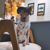 Логотип телеграм канала @sphinxmaxim — СфинксМаксим