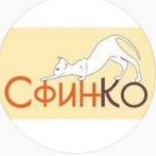 Логотип телеграм канала @sphynxco — СфинКо