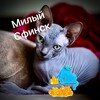 Логотип телеграм канала @sphynxik — Милый Сфинкс 🐈