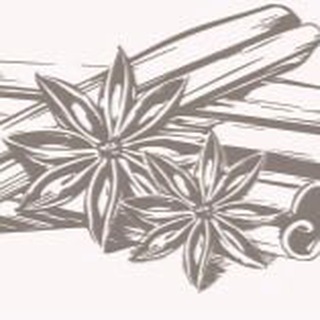 Telegram channel Spice Laboratory logo