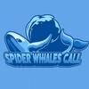 Logo of telegram channel spiderwhalescalll — 🐳SPIDER WHALES CALL中國🐳