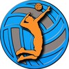 Логотип телеграм канала @spikevolley — Spike Volleyball