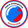 Логотип телеграм канала @spinballvlg — Лига Спинбола