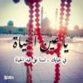 لوگوی کانال تلگرام spirit313 — روح وغصن 🦋🌱
