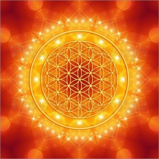 Logo des Telegrammkanals spiritualitaetwissenschaft - Spiritualität und Wissenschaft