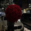 Логотип телеграм канала @spish_spishh — Привет, спишь ?