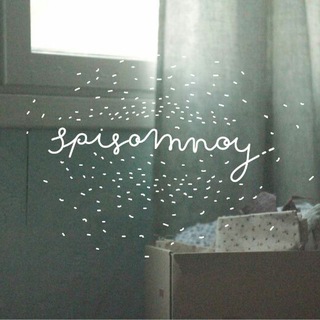 Логотип телеграм канала @spisomnoy — Spisomnoy