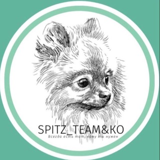 Логотип телеграм канала @spitz_team — Spitz_team&Ko ШПИЦ Тим