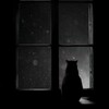 Логотип телеграм канала @spixspi — с̢̘͜п̡͉̟и̢̘̙.