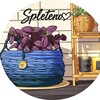 Логотип телеграм канала @spleteno01 — ~SPLETENO~ Изделия из ротанга 🧶
