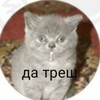 Логотип телеграм канала @spletni_66 — В Тавде говорят...