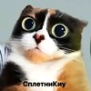 Логотип телеграм канала @spletnikiy116 — сплетни киу