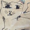 Логотип телеграм канала @splitteeth — splitteeth 16 