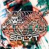 Логотип телеграм -каналу splyt_ch — SPLYT CARTEL