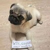 Логотип телеграм канала @spookyslayzze — Хуторок слейза