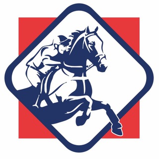 Логотип телеграм канала @sport_po_konnomu19 — Конный спорт Хакасии