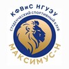 Логотип телеграм канала @sportnsuem — Кафедра физического воспитания и спорта НГУЭУ
