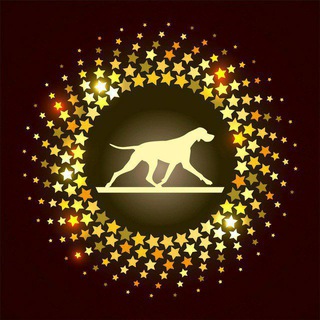 Логотип телеграм канала @sportshowclub — СпортШоуКлуб