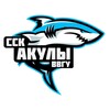 Логотип телеграм канала @sportstudclub — ССК «Акулы»