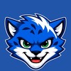 Telegram kanalining logotibi sportsvolunteers — Youth Sports Leaders Program 🇺🇿💙