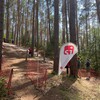 Логотип телеграм канала @sportturmo — Спорт для смелых🧗🏻🦾