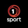 Логотип телеграм канала @sportyvnyy1 — 1-й Спортивный