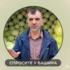 Логотип телеграм канала @sprosibashira — Спросите у Башира