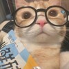 Logo of telegram channel sqg_memes — sQg.memes