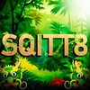 Logo of telegram channel sqitt8 — SQITT8