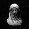 Логотип телеграм канала @squalorg — anathema