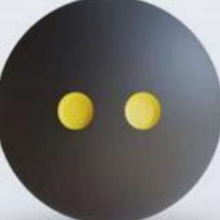 Логотип телеграм канала @squashnolet — Squash: LET? NO LET! | Записки диванного тренера