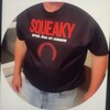 Логотип телеграм канала @squeakycs — Squeaky