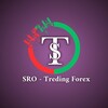 Logo of telegram channel sro_forex — 𝗦𝗿𝗼 - 𝗧𝗿𝗲𝗱𝗶𝗻𝗴 𝗙𝗼𝗿𝗲𝘅 📊