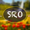 Логотип телеграм канала @sro_official — Roman Safonov