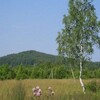 Логотип телеграм канала @srochno_ii_tochno — Износки. Срочно и точно