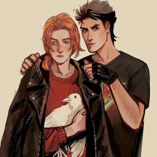 Логотип телеграм канала @srxvlk — сероволки мои сероволки