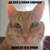 Логотип телеграм канала @ss191en — zosyakhrenkova