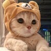 电报频道的标志 ss_00 — BY公益内核发布频道