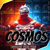 Logo of telegram channel ss_leader_1 — FREE FIRE | COSMOS ♻