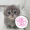 Логотип телеграм канала @ssa1kochi — 🎀сайкоши
