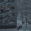 Логотип телеграм канала @ssaaanvii — обитель санви ;