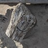 Логотип телеграм канала @sshtixa — свага эпизод