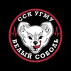 Логотип телеграм канала @ssk_usmu — ССК УГМУ «Белый соболь» 🤍
