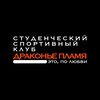 Логотип телеграм канала @sskdragonfire — ССК "Драконье пламя"
