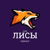 Логотип телеграм канала @sskfox — ССК «ЛИСЫ» СПбГАСУ