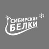 Логотип телеграм канала @ssksibfu — ССК «Сибирские белки»