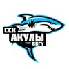 Логотип телеграм канала @sskvvsu — ССК «Акулы»