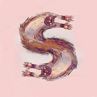 Logo of telegram channel sslyy — Sly 🐾