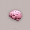 Логотип телеграм канала @sspheres — 🧠 • СФЕРА