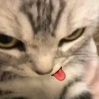 Логотип телеграм канала @ssss_onik_ssssss — sonix_lavix